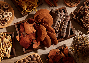 Traditional Chinese Medicinal Materials