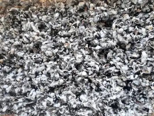 cottonseed hulls