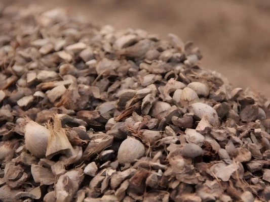 palm kernel shells