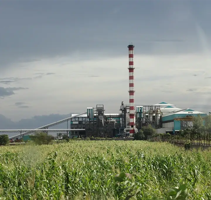 8-10 T/H biomass pellet manufacturing plant