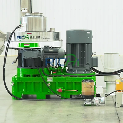 Vertical Motor