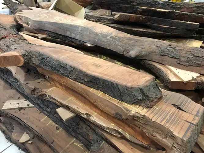 log