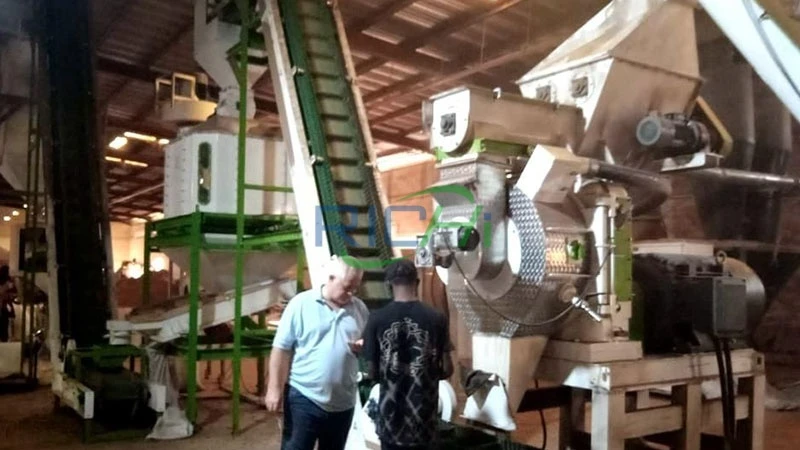 2-3 T/H Bamboo Chips Pellet Mill For Sale Colombia