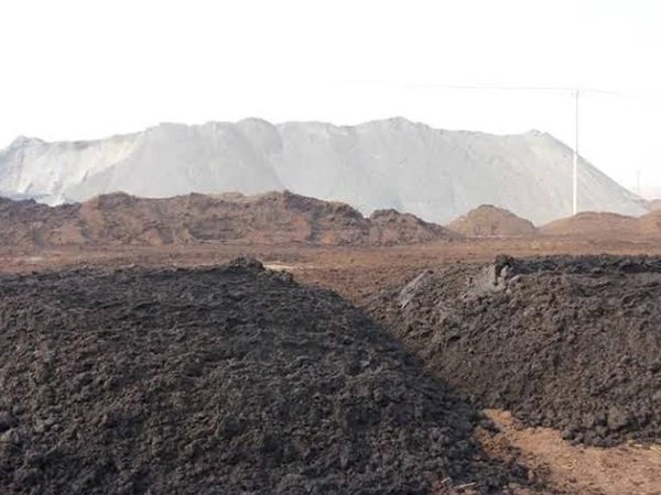 Biogas Residue