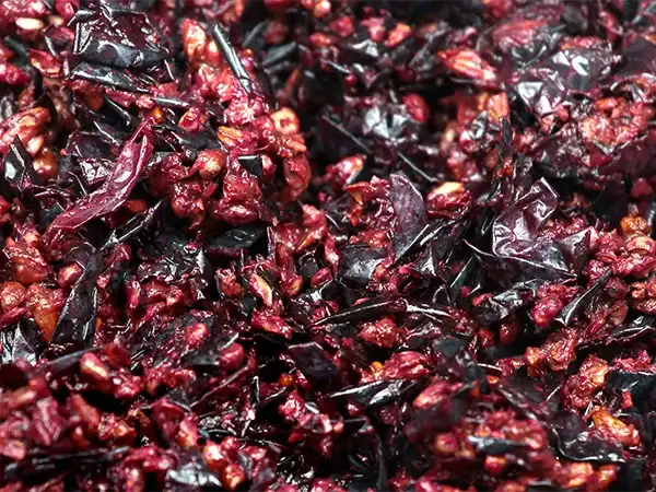 Fruit Pomace