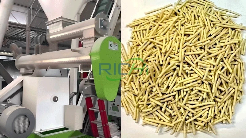 Thailand 1-2 T/h Bentonite Cat Litter Pelleting Machine