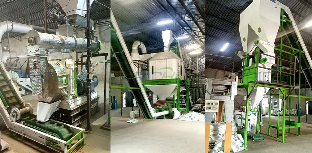 Linea di produzione di mangimi per il bestiame