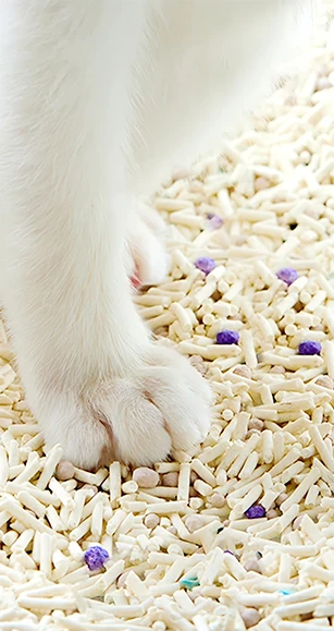 lettiera per gatti al tofu in grumi