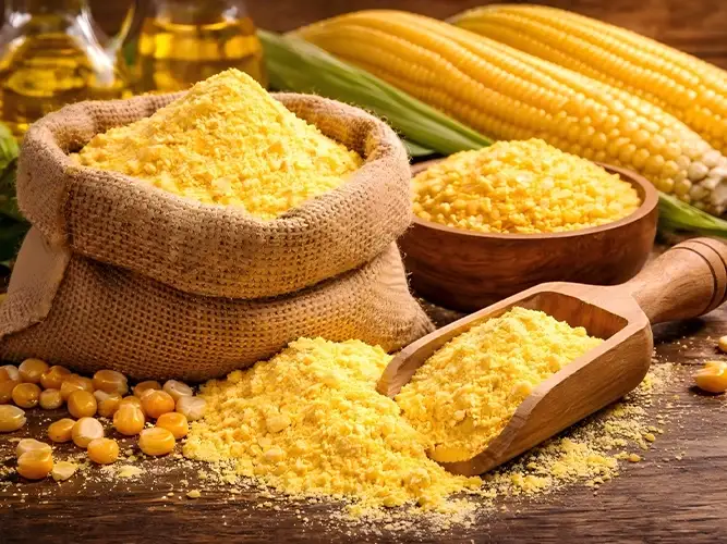 maize flour