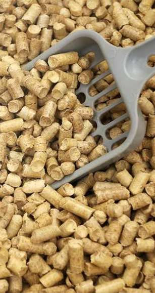 lettiera di legno di pino