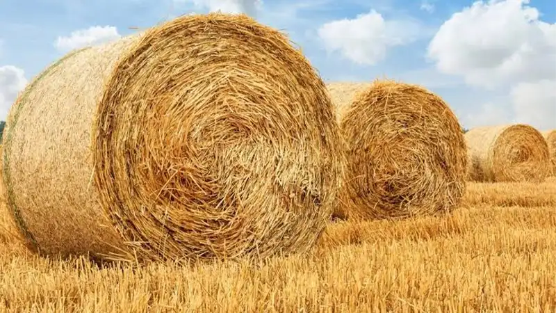 balla di paglia rotonda