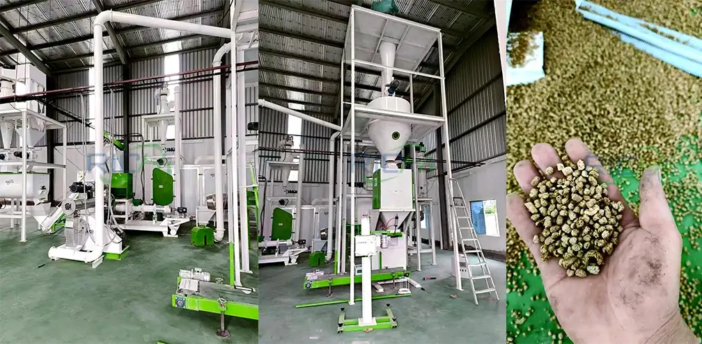 Chicken and Aqua Feed Production Line in Bangladesh