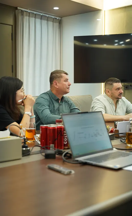 discussing the solution with Polish clients